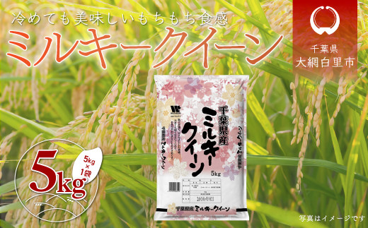 令和7年産 千葉県産「ミルキークイーン」5kg / お米 5キロ 千葉県産 大網白里市 ミルキークイーン 米 精米 こめ A050