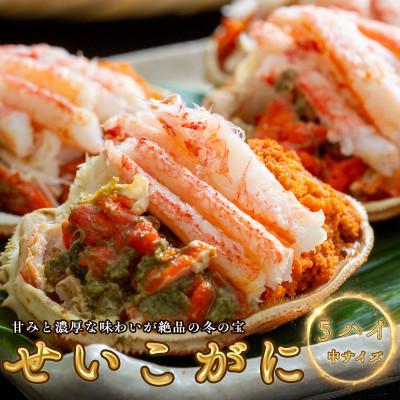 ふるさと納税 小浜市 セイコガニ(ズワイガニのメス)  5杯
