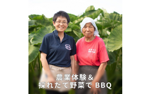 
阿部農縁の採れたて野菜でBBQ!農業体験と野菜たっぷりバーベキュープラン　2名様【1363757】
