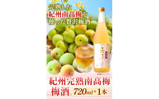 梅酒 紀州完熟南高梅 梅酒 720ml 酒のねごろっく《90日以内に出荷予定(土日祝除く)》和歌山県 岩出市 梅酒 梅 うめ 紀州南高梅 720ml おつまみ おさけ お酒 晩酌 ストック 家飲み 宅