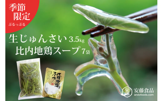 生じゅんさい3.5kg＋比内地鶏スープ200ml×7袋 《冷蔵》（2025年5月上旬頃～7月下旬までに発送予定） 令和7年産 2025年産 先行受付  秋田県産 三種町産