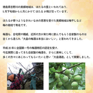 梅酒 治三郎 720ml 辛口 お酒 酒 リキュール アルコール 25% 梅  国産 吉野川市 徳島県 ドリームチーム