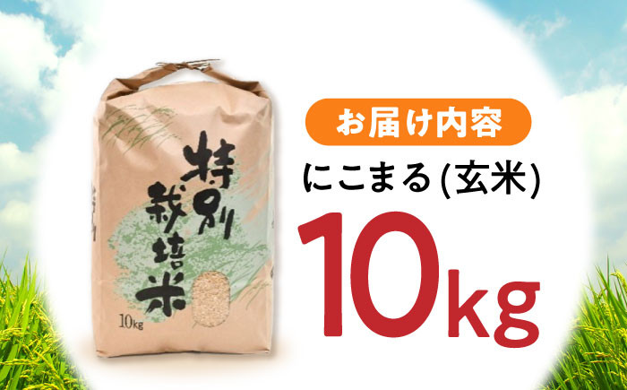 「にこまる」 玄米 10kg  米 こめ お米 おこめ げんまい にこまる 長崎県産