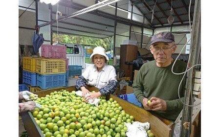 ひらそ農園の完熟南高梅の梅干し　1kg（塩分約13%） 梅干し 国産 南高梅 1キロ 冷蔵便 クール便 ＜004-101＞