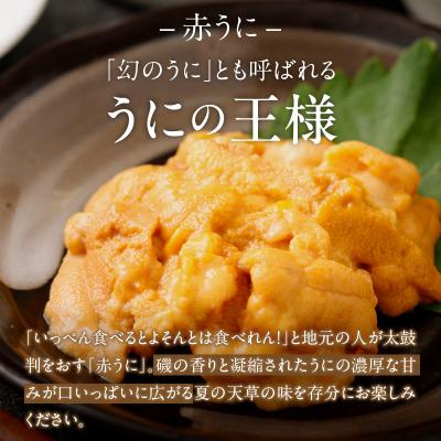ふるさと納税 天草市 【先行受付・指定日必須】殻出し生うに(赤うに)50g×2本 うに用醤油付_S002-023 |  | 01