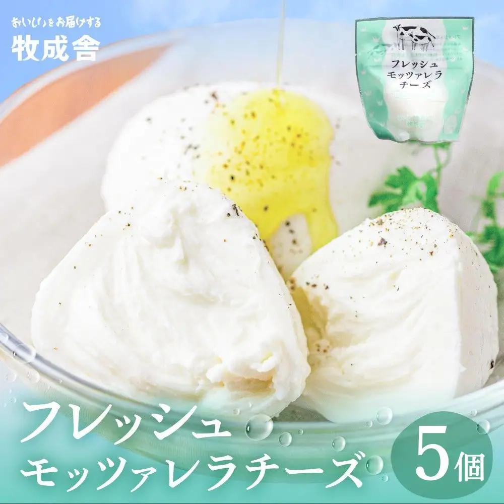 ＜牧成舎＞牛乳屋がていねいに作ったフレッシュモッツァレラチーズ5個 モッツァレラチーズ 飛騨市[Q1420x] 