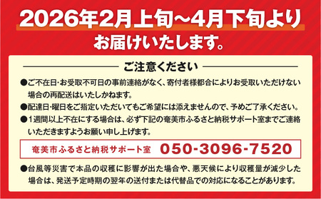 ＜化粧箱入／ギフト向け＞亜熱帯トマト「野生の証明」 - トマト 奄美大島産 ギフト向け フルーツトマト ミニトマト 野生の証明 甘い プレゼント 1.5kg 野菜 ギフト 化粧箱入り おやつ おつまみ