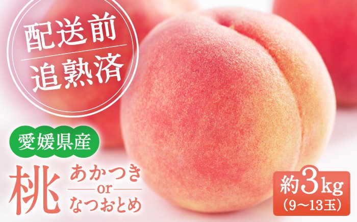 
                  桃 もも 【先行予約】【2026年7月中旬から順次発送】桃 9〜13玉入り 愛媛県大洲市/幸野観光なし園［AGBD006］ 桃 もも モモ momo  高級 フルーツ 果物 くだもの もも 厳選 国産 新鮮 桃 産地直送 桃 おすすめ 人気 お取り寄せ 送料無料 贈答 夏 ギフト 旬 桃 甘い ジューシー 桃 おいしい 桃 白鳳系 白桃 大玉 桃 ランキング 完熟 高糖度 桃 7月 約3kg 四国
                