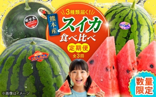 【2026年発送分 先行予約】【数量限定】【全3回定期便】 すいか 3種 食べ比べ セット 定期便 計5玉（小玉2 大玉1 黒小玉2）  スイカ 大玉 小玉 黒小玉 果物 フルーツ 【一般社団法人クラッシーノこうし】 [AYAB030]