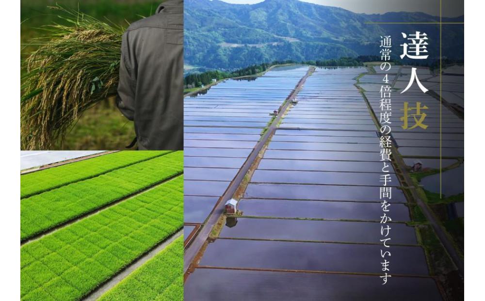 【2025年産新米】【ギフト用】最高級魚沼産コシヒカリ「雪椿」2kg×2袋 木箱入り 特別栽培米127527-025