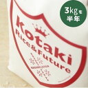 【ふるさと納税】希少米コタキホワイト3kgを毎月お届けします！(計6回)（令和6年産）