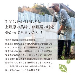 風林亭こだわりのうどんランチコース（1名様）