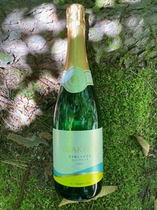 明野のワイン いろいろ 4本セット 受賞作品込 ワイン セット 白ワイン ロゼ 赤ワイン 4種類 シャンクレール モンデ酒造 御勅使川ワイナリー 720ml 750ml お酒 アルコール 母の日 父の