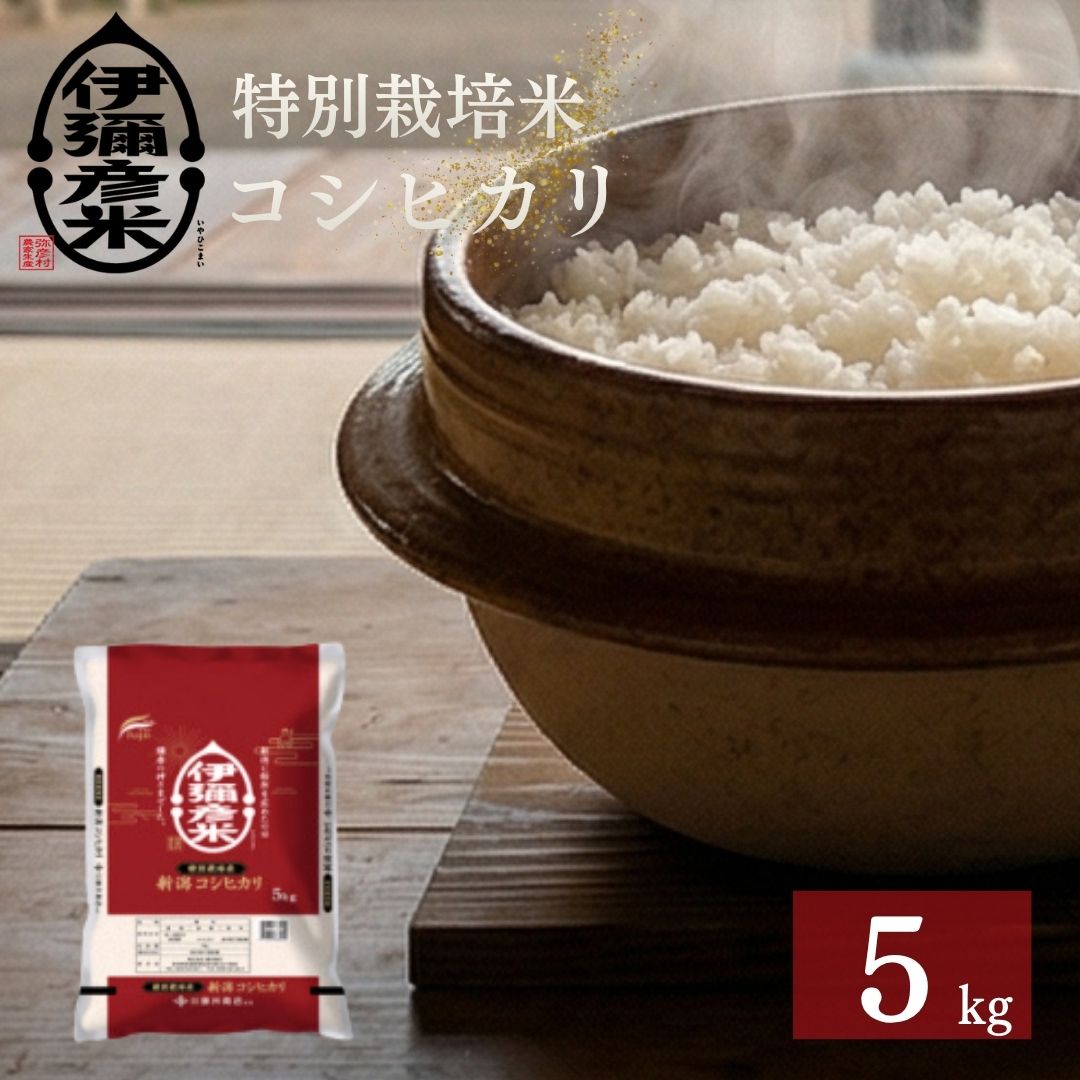 【ふるさと納税】令和7年産特別栽培米コシヒカリ「伊彌彦米」5kg | 新潟県 弥彦村