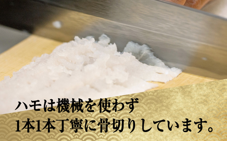 淡路島黄金はも湯引き 2～3人前　酢味噌・梅肉付き  / はも