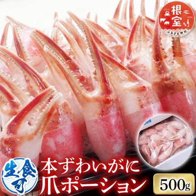 ふるさと納税 根室市 生食用本ズワイガニ爪ポーション500g A-28224
