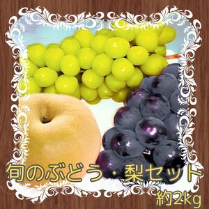 【南信州高森産】旬の ぶどう・梨セット　約2kg