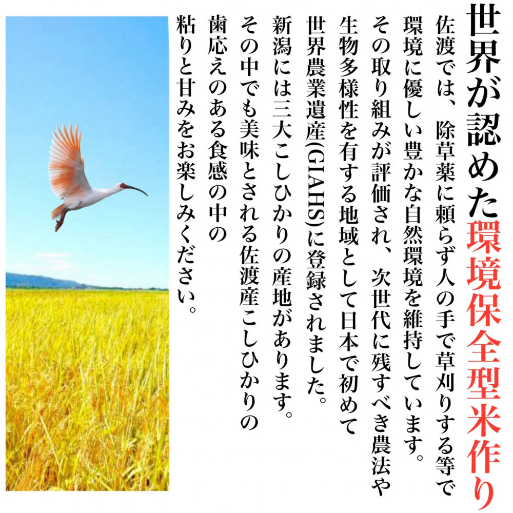 【令和8年産新米・先行予約】佐渡産コシヒカリ そのまんま真空パック 900g×6袋セット
