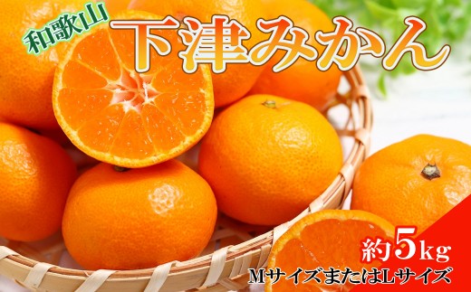 
                  【産直・秀品】和歌山下津みかん約5kg(MサイズまたはLサイズのいずれかをお届け) ※2026年11月中旬～2027年1月中旬頃に順次発送【tec871A】
                