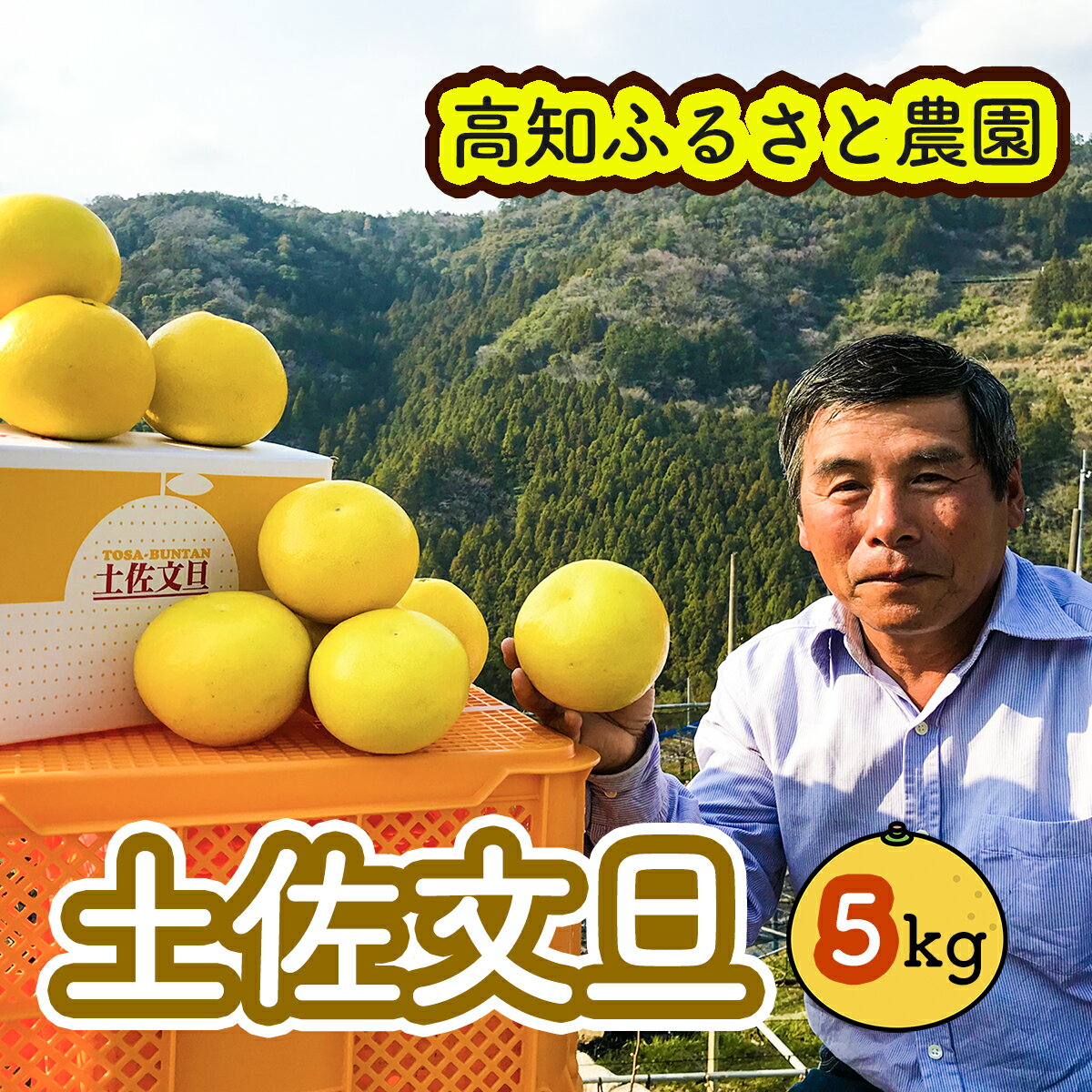 【ふるさと納税】土佐文旦贈答用約5kg（高知ふるさと農園）