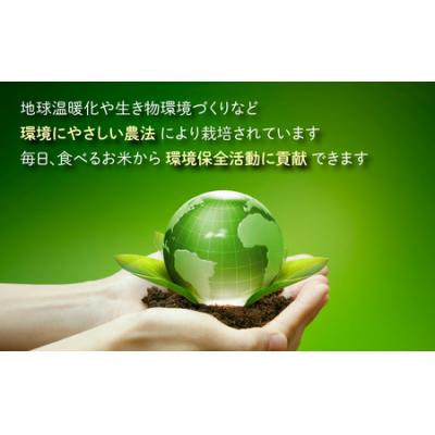 ふるさと納税 大野市 地球にやさしいパックご飯 10食入り【玄米】　減農薬・減化学肥料 「特別栽培米」-地球にやさしいお米 |  | 01