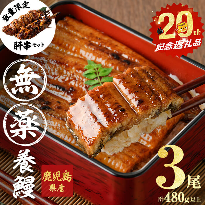 【ふるさと納税】【志布志市制20周年記念】【無薬養鰻】 鹿児島産 山田のうなぎ ＜計480g以上＞（160g以上×3尾） 肝串セット うなぎ 鰻 ウナギ 無薬 養鰻 無投薬 3尾 国産 九州産 蒲焼き かばやき 冷凍 うな重 ひつまぶし タレ 山椒 ランキング 人気【山田水産】a5-348