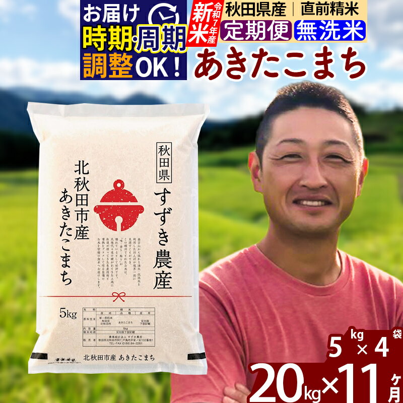 【ふるさと納税】※令和7年産 新米※《定期便11ヶ月》秋田県産 あきたこまち 20kg【無洗米】(5kg小分け袋) 2025年産 お届け時期選べる お届け周期調整可能 隔月に調整OK お米 すずき農産