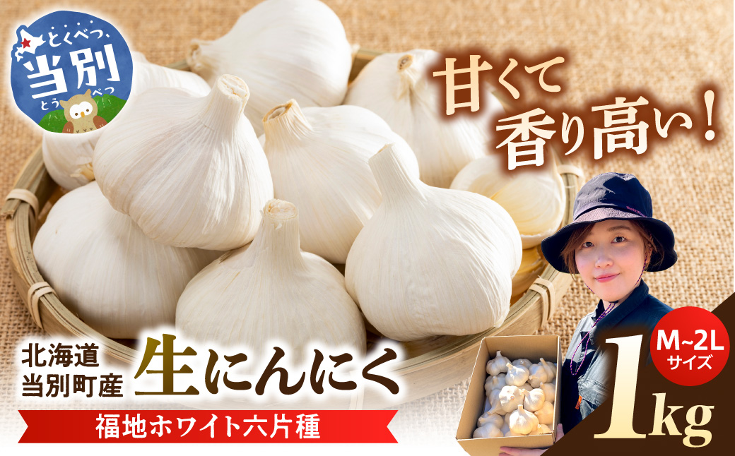 【令和8年発送先行受付】生にんにく（福地ホワイト六片種）1kg　《2026年6月上旬-7月下旬頃出荷予定》　野菜　北海道　当別町　にんにく_tb22-003
