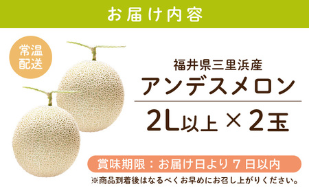 【先行予約】【数量限定】三里浜アンデスメロン 2L以上 × 2玉 【2026年6月下旬より順次発送】 [A-16512]