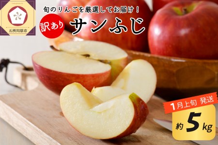 【2026年1月上旬発送】 【訳あり】 りんご 約5kg サンふじ 青森りんご