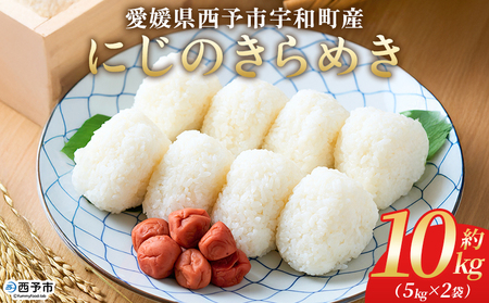＜にじのきらめき 約10kg（5kg×2袋）＞ 10キロ ニジノキラメキ 米 お米 コメ こめ 白米 精米 ご飯 ライス 大粒 穀物 西予応援米 特産品 愛媛県産 西予市産 宇和町産 前田農園 愛媛県 西予市 【常温】『2025年10月から12月迄に順次出荷予定』UMU0002