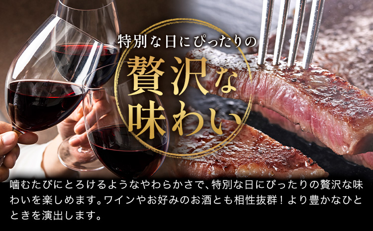 牛肉 肉 鹿児島県産北さつま 高崎牛 サーロインステーキ 2枚 600g 有限会社 太田家 《30日以内に出荷予定(土日祝除く)》お肉 牛 ステーキ 鹿児島県 さつま町