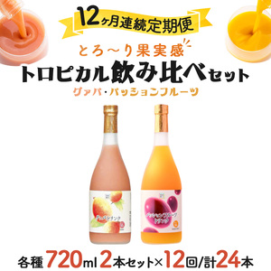 【定期便・全12回】驚きの果実感！グァバ・パッションフルーツドリンク２本セット(720ml×2本)×12回_K021-T005