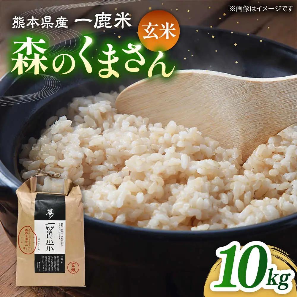 〈令和7年度産米〉 【天日塩を使用】一鹿米 森のくまさん  玄米10kg 【株式会社 夢アグリ】[ZCL026]