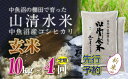 【ふるさと納税】【新米先行受付】【定期便／全4回】玄米10kg　新潟県魚沼産コシヒカリ「山清水米」　定期便・十日町市　お届け：2024年10月中旬から順次発送します。