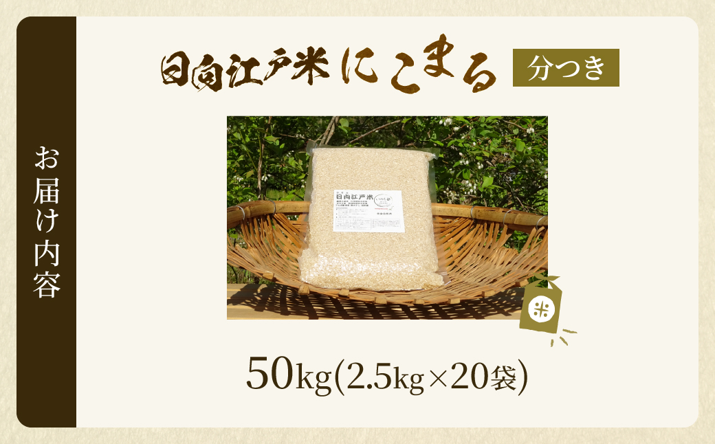 天日干しが引き出す お米の旨味 日向江戸米（にこまる）【分つき】計50kg 国産米 ブランド米 農薬不使用 化学肥料不使用 無農薬 ごはん ご飯 おにぎり お弁当 冷めても美味しい 精米したて 和食 