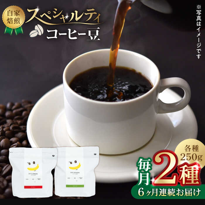 【ふるさと納税】【6回定期便】【豆のまま】自家焙煎 スペシャルティコーヒー 豆 （ 250g × 2種 ）約40杯分【かきやま果実】[ZCJ016] コーヒー coffee ドリンク 飲み物 飲料 国産 熊本県