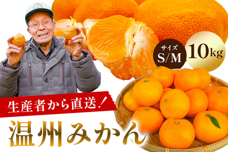 【先行受付 2025年11月20日頃から順次発送】 温州みかん 10kg 【サイズS又はM】 mi0032-0003-1 みかん ﾐｶﾝ 甘み 酸味 ﾌﾙｰﾂ 果物 柑橘