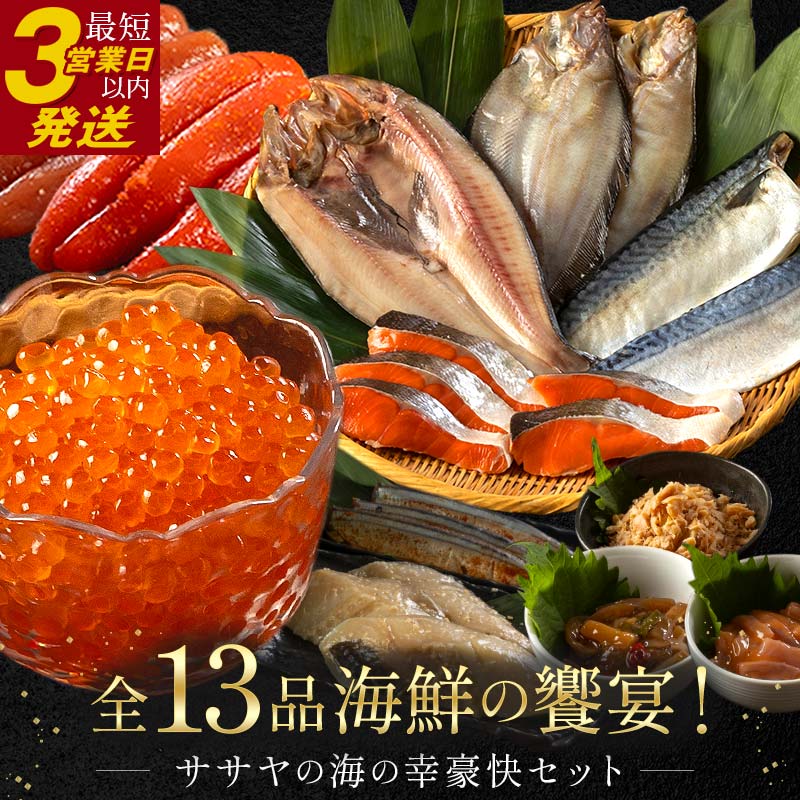 【ふるさと納税】【12月25日までの入金で年内発送】まるごと堪能！ 新物 北海道産 ササヤの『海の幸豪快セット』 全13品 海の幸 いくら たらこ 明太子 鮭 ほっけ かれい いかの塩辛 さば 銀だら さんま 詰合せ セット 魚 魚介 F4F-8922
