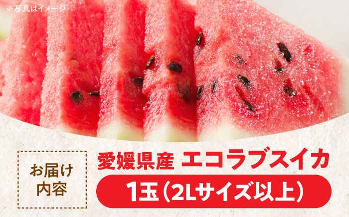 愛情つまったエコラブスイカ（2Lサイズ以上）1玉　愛媛県大洲市/沢井青果有限会社野菜 [AGBN009]スイカ 夏 すいか 西瓜 かき氷 スイカジュース 甘い フルーツ 果物 フルーツポンチ デザート