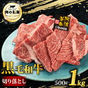 【ふるさと納税】 黒毛和牛 切り落とし 500g 1kg A5等級 阿波華牛 和牛 牛肉 ぎゅうにく 牛 ぎゅう うし 肉 ビーフ 赤身 ロース 肩 モモ すき焼き すきやき しゃぶしゃぶ 焼肉 BBQ アウトドア キャンプ お取り寄せ 惣菜 おつまみ 弁当 日用 冷凍 小分け 送料無料