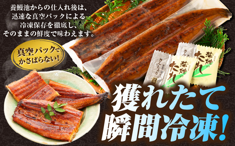 三河一色産うなぎ蒲焼 3尾（約480g）・O067