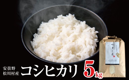 【令和8年産】コシヒカリ 5kg ｜ やまし平林農園 一等米 米 お米 こめ こしひかり 白米 精米 長野県 松川村 北アルプス 信州 安曇野
