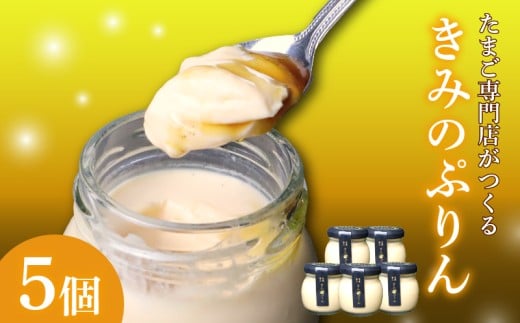 きみのぷりん5個入り