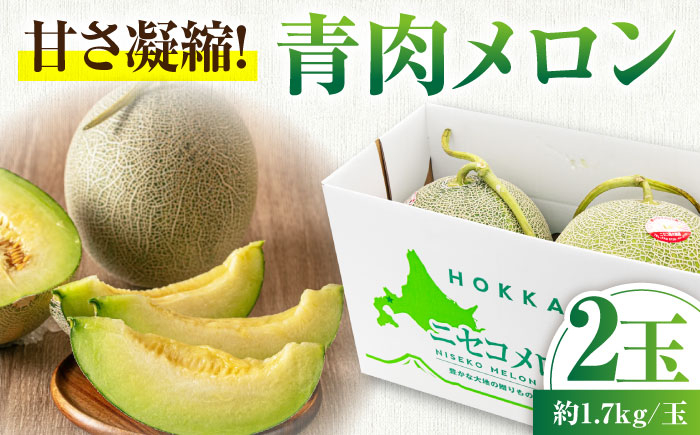  メロン 化粧箱入り フルーツ 果物 青肉 先行予約 常温 常温配送 北海道 