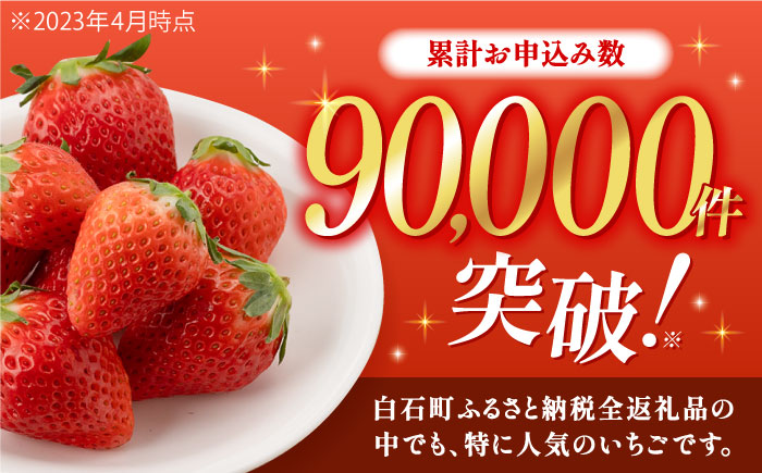 【先行予約】白石産いちご さがほのか 約150g×12パック（計1800g以上） [IAA038]