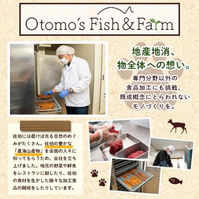 ふるさと納税 佐伯市 犬用 鹿肉ジャーキー (計150g・50g×3) |  | 02