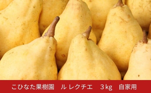 【先行予約】ルレクチエ ３㎏ 自家用 [2025年発送分] 令和７年産 洋梨 新潟 三条 燕三条 果物  [こひなた果樹園] 【014S161】