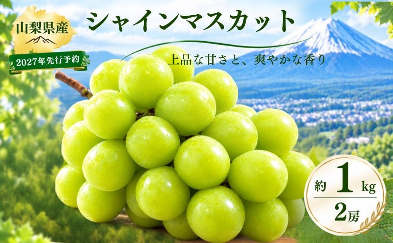 【2027年 先行予約】山梨県産　シャインマスカット 約1.0kg ２房  FB037