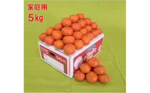 ＜2025年12月発送＞坂出ふれあい産直市の小原紅早生 約5kg（箱）
